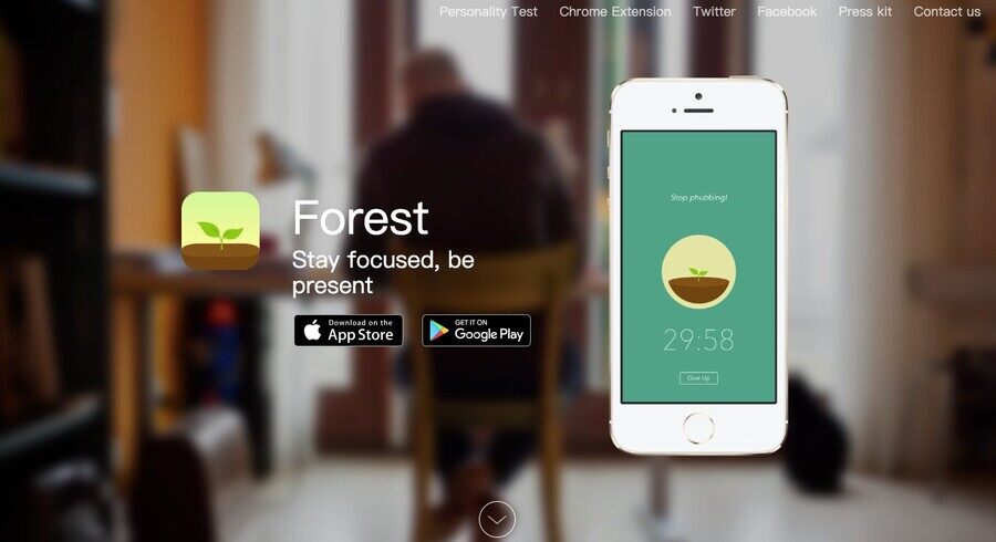 Forest - Defeating Distractions